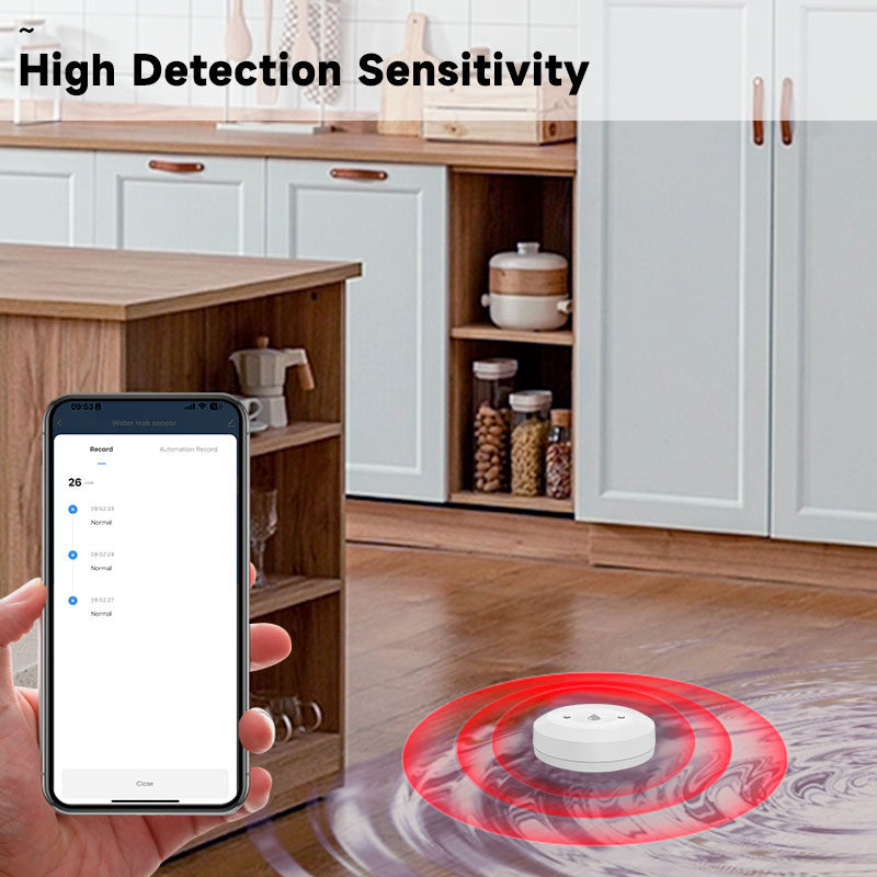 Tuya Zigbee2mqtt Sensore di im - Water Alarm Sensor recensione e prezzo